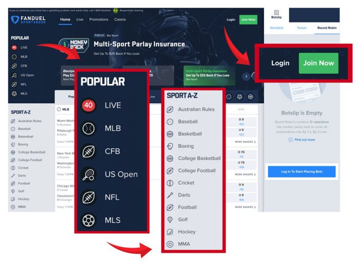 Fanduel Sportsbook Homeage